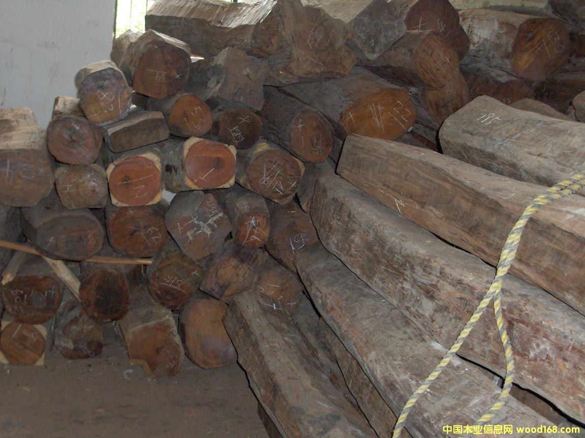 �t��֦��Ԕ��(x��)��B