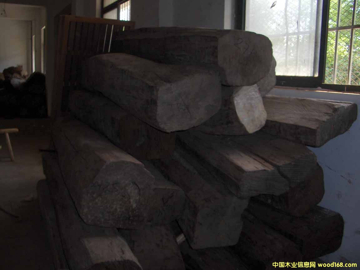 �t��֦��Ԕ��(x��)��B