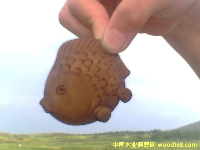 �~(y��)��Ԕ��(x��)��B