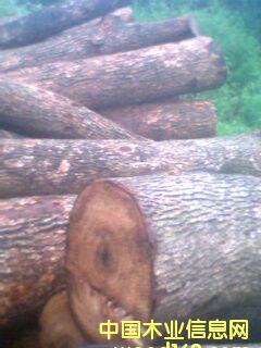 ����ľԭľ��Ԕ��(x��)��B