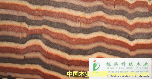 �tˮ���yDL-608��Ԕ��(x��)��B