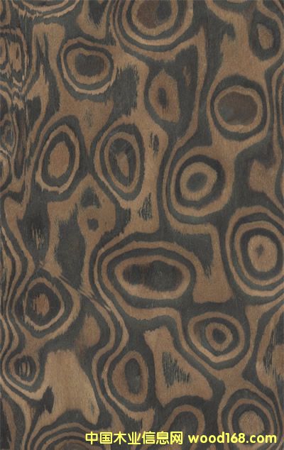 ��̴�����Ԕ��(x��)��B