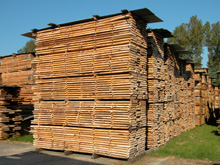 �W�޵�Ԕ��(x��)��B