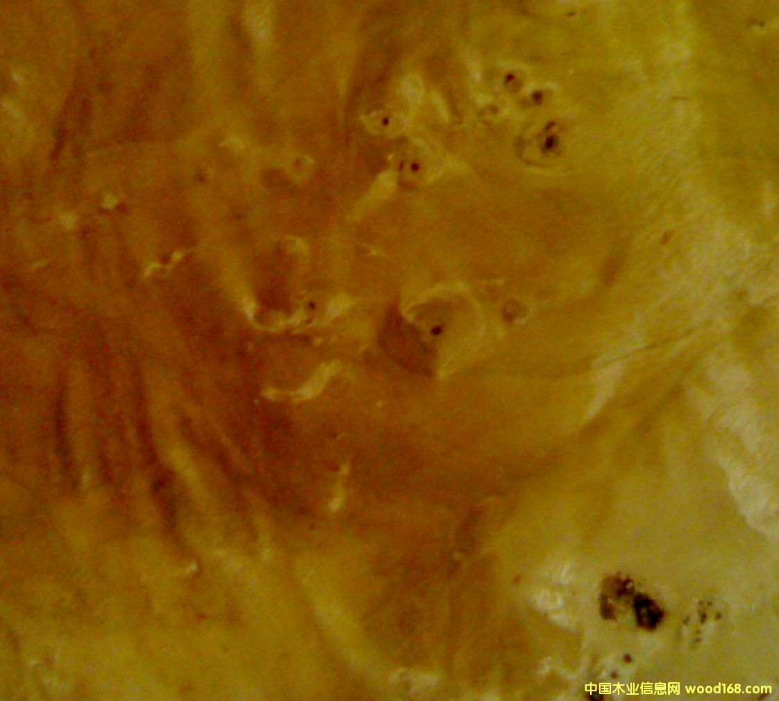 �ח������Ԕ��(x��)��B