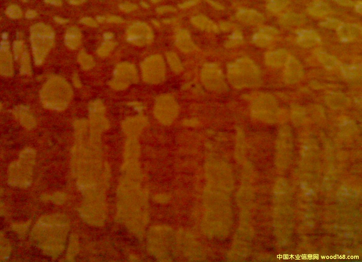 �����Ԕ��(x��)��B