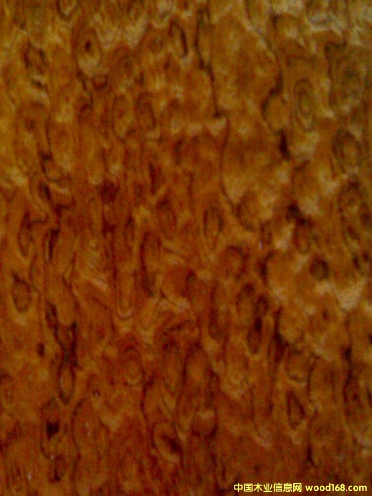 ������ۼy��Ԕ��(x��)��B