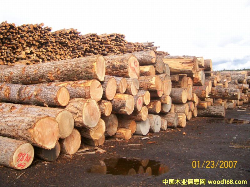 �����ɈDƬ��Ԕ��(x��)��B