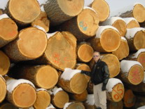 �����ɈDƬ��Ԕ��(x��)��B