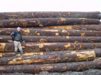 �Fɼԭľ��Ԕ��(x��)��B