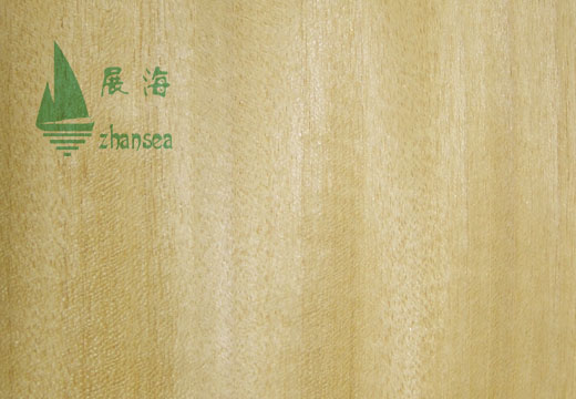 ��z�ֵ�Ԕ��(x��)��B