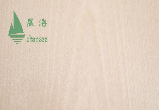 �|���ט��Ԕ��(x��)��B