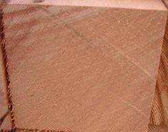 ��ɼ---�����t��(c��)����������� ��western red c