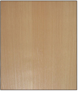 �y�zľ��Ԕ��(x��)��B