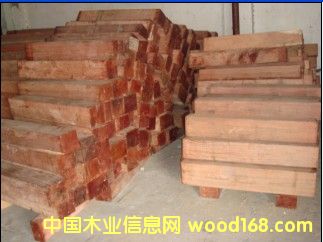 �����S���t̴���Ԕ����B