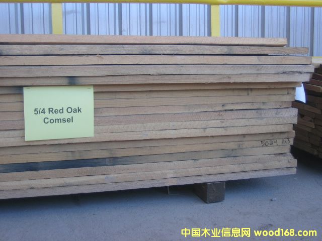 �t���Ԕ��(x��)��B