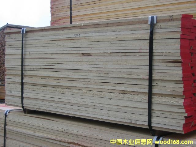 ��Ϟ?z��i)�white ash��Ԕ��(x��)��B