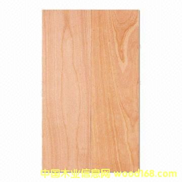 ����(y��ng)��ľ�����Ԕ����B