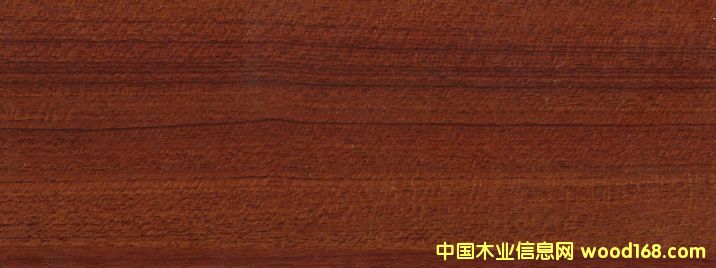 �b���Ԕ��(x��)��B