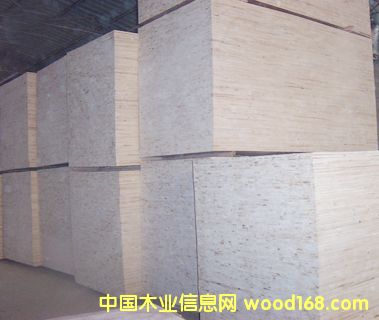 13��Ԕ��(x��)��B