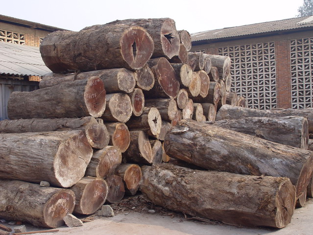 �S���ľ��Ԕ��(x��)��B