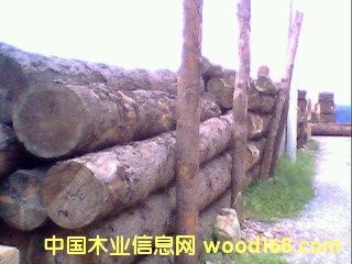 ������ԭľ���ľ����Ԕ��(x��)��B