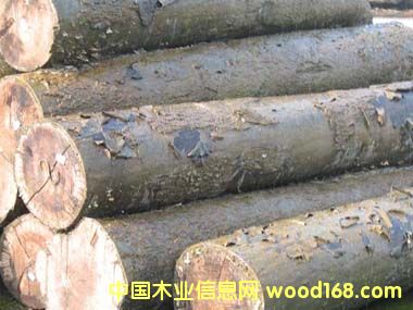 ������������ԭľ��Ԕ��(x��)��B