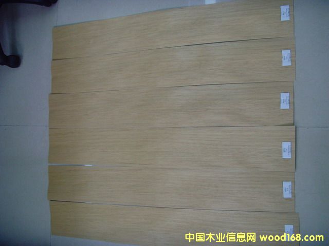 Tauari(�հ���)