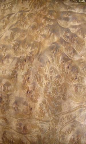 ��ľ����