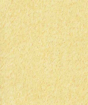 �������Ԕ����B