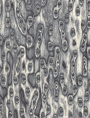 ��؈�۵�Ԕ����B