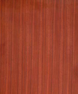 ��̴��Ԕ����B