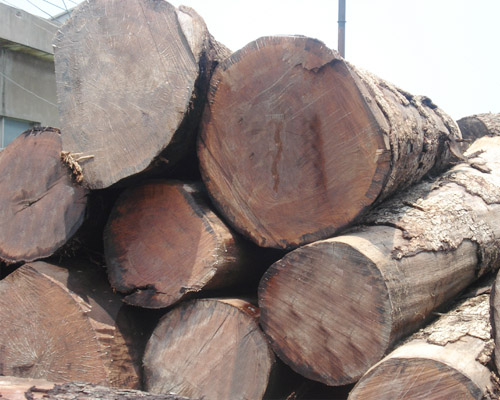 ����ԭľ��Ԕ����B