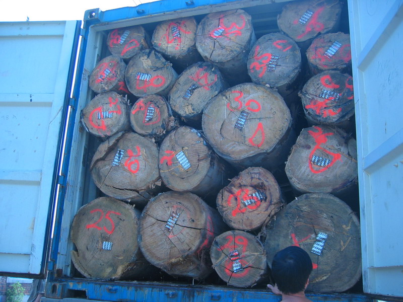 ؛��ԭľ��Ԕ����B