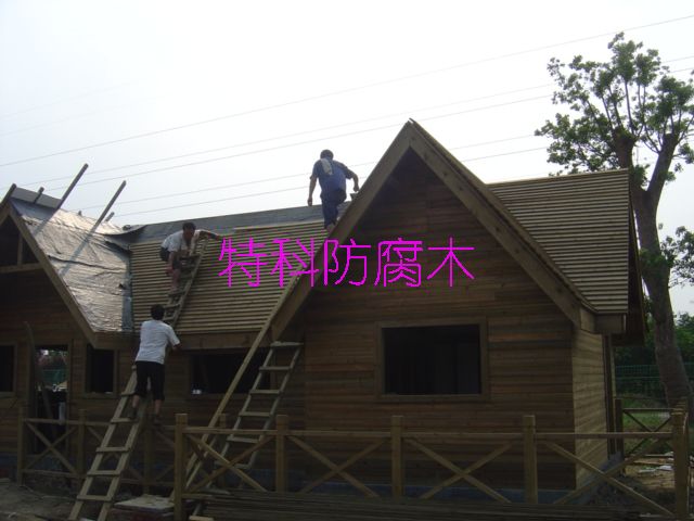 ���ľ�ݵ�Ԕ��(x��)��B