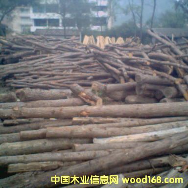 ��ľ��Ԕ����B