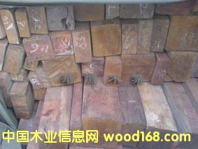 �S�����Ԕ��(x��)��B