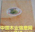 ���O����ľˮ��ģ���Ԕ��(x��)��B