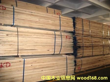 �t��ľ��Ԕ��(x��)��B