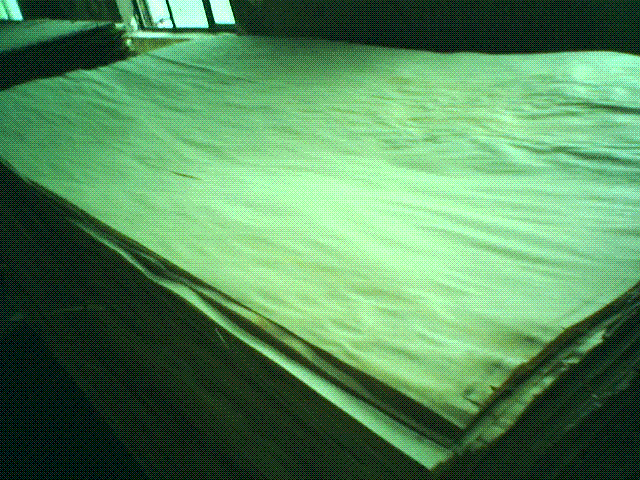 ��ľ��Ƥ��Ԕ����B