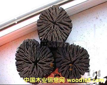 ��ľ̿��Ԕ��(x��)��B