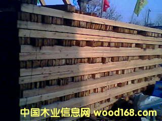 ɼľ���ϵ�Ԕ��(x��)��B