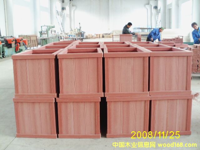 ��ľ����