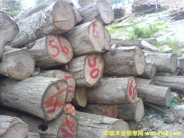 �ϓ���ľ��Ԕ��(x��)��B