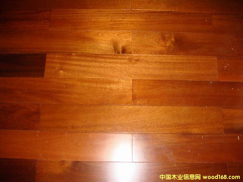 �w�����,���_�غ�ľ�ذ��Ԕ����B