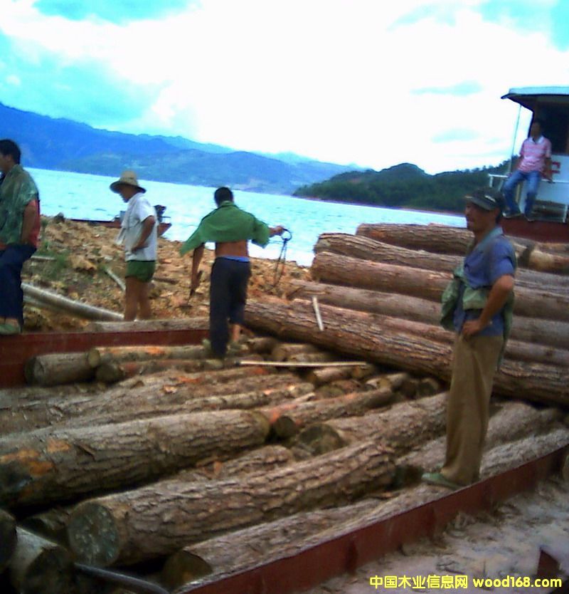 ��ľ��Ԕ��(x��)��B