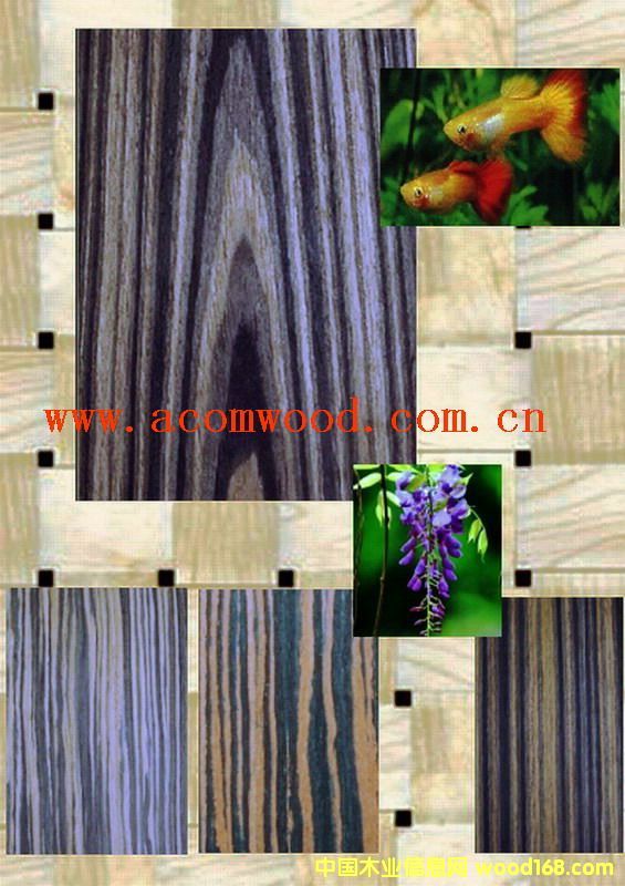 �b���8��Ԕ����B