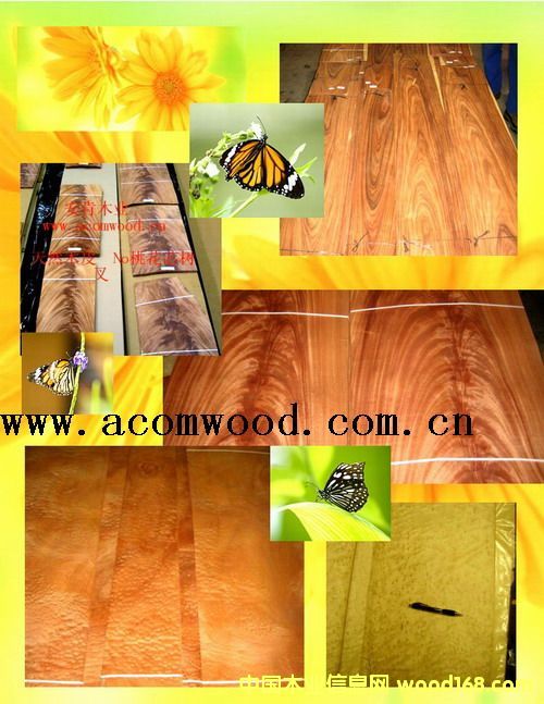 �b���9��Ԕ����B