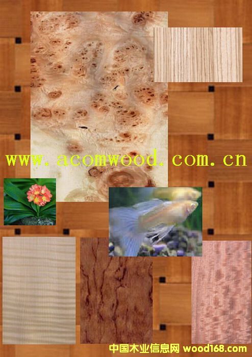 �b���4��Ԕ����B