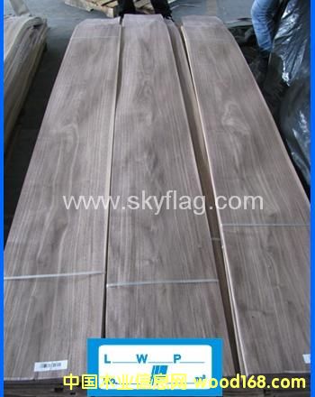 0.6�ں���ɽ�y����ϵ�Ԕ��(x��)��B