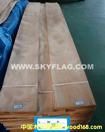 0.6�t����ɽ�y��Ԕ��(x��)��B